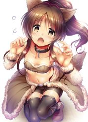 Rule 34 | 1girl, animal ears, bike shorts, black shorts, black thighhighs, bra, breasts, brown bra, brown eyes, brown hair, brown skirt, collar, collarbone, fang, fingernails, floating hair, hair between eyes, idolmaster, idolmaster cinderella girls, long hair, looking at viewer, ment, on one knee, open mouth, ponytail, sharp fingernails, shiny clothes, shorts, showgirl skirt, sidelocks, simple background, skirt, small breasts, solo, strapless, strapless bra, tail, takamori aiko, thighhighs, underwear, white background, wolf ears, wolf tail, zettai ryouiki