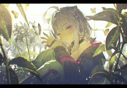 Rule 34 | 1girl, animal ear fluff, animal ears, asymmetrical pants, baggy pants, black choker, black hoodie, blurry, blurry foreground, blush, bug, butterfly, cat ears, cat girl, cat tail, choker, closed mouth, collarbone, feet out of frame, flower, greenhouse, hololive, hololive gamers, hood, hoodie, insect, kaerunoko, knees to chest, knees up, leaf, light particles, light purple hair, looking at viewer, nekomata okayu, nekomata okayu (1st costume), one eye closed, pants, plant, purple eyes, short hair, sidelocks, sitting, sleeves past wrists, smile, solo, sunlight, sweatpants, tail, virtual youtuber, waving, white pants