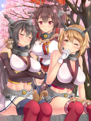 Rule 34 | 10s, 3girls, bare shoulders, black hair, blush, breasts, brown hair, cherry blossoms, cleavage, crossed arms, closed eyes, gloves, headgear, kantai collection, large breasts, long hair, melopun, midriff, miniskirt, multiple girls, mutsu (kancolle), nagato (kancolle), navel, one eye closed, pleated skirt, red eyes, red legwear, short hair, sitting, skirt, squirrel, thighhighs, umbrella, yamato (kancolle)