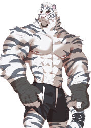 Rule 34 | 1boy, abs, absurdres, animal ears, arknights, bad id, bad twitter id, bara, black shorts, feet out of frame, furry, furry male, highres, inactive account, kimagureuso, large pectorals, light frown, looking to the side, male focus, mountain (arknights), muscular, muscular male, navel, nipples, pectorals, sanpaku, scar, scar across eye, short hair, shorts, solo, standing, stomach, thick eyebrows, tiger boy, tiger ears, topless male, v-taper, white fur, white hair
