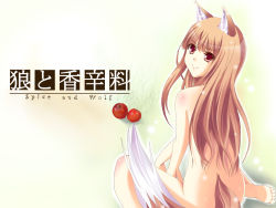 Rule 34 | 00s, animal ears, apple, bad id, bad pixiv id, brown eyes, brown hair, food, fruit, holo, kazumi1904, long hair, looking back, nude, solo, spice and wolf, tail, wallpaper, wolf ears, wolf tail