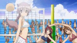 Rule 34 | 10s, 3girls, animal ears, animated, animated gif, assisted stretching, ball, beach, bikini, braid, brown hair, crowd, day, dog days, long hair, lowres, multiple girls, red hair, screencap, skirt, source request, stretching, swimsuit, tail, volleyball, volleyball (object)