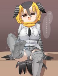 Rule 34 | 1girl, black hair, blonde hair, blush, breasts, brown background, brown eyes, campo flicker (kemono friends), commentary request, feet, foot focus, foot out of frame, glasses, grey panties, grey skirt, grey thighhighs, grey wings, hair between eyes, head wings, kemono friends, large breasts, layered sleeves, lets0020, long bangs, long sleeves, looking at viewer, miniskirt, multicolored hair, no shoes, open mouth, panties, pince-nez, pleated skirt, round eyewear, shirt, short hair, short over long sleeves, short sleeves, sitting, skirt, smile, solo, thighhighs, translation request, underwear, white hair, wings