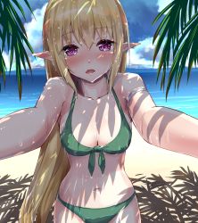 Rule 34 | 1girl, beach, bikini, blonde hair, blue sky, blush, breasts, cleavage, cloud, collarbone, commentary request, day, elf, front-tie bikini top, front-tie top, green bikini, long hair, looking at viewer, medium breasts, navel, ocean, open mouth, original, outdoors, outstretched arms, palm tree, pointy ears, purple eyes, sky, solo, standing, stomach, swimsuit, tenrai, tree, very long hair, water, wet, wet hair