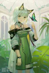 Rule 34 | 1girl, animal ear fluff, animal ears, arknights, artist name, bare shoulders, bug, butterfly, closed mouth, detached collar, dew drop, dress, green dress, green eyes, highres, indoors, insect, jacket, jewelry, kal&#039;tsit (arknights), leaf, looking at viewer, pocket, short hair, short hair with long locks, solo, standing, stethoscope, vsmile, watch, water drop, watermark, web address, white hair, wristwatch