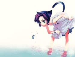 Rule 34 | animal ears, bare shoulders, barefoot, cat ears, cat tail, clothes lift, dress, dress lift, fish, flat chest, green eyes, purple hair, short hair, solo, tail, water
