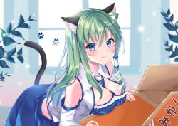 Rule 34 | 1girl, absurdres, animal ear fluff, animal ears, bent over, between breasts, blue eyes, blue necktie, blue skirt, blush, box, breasts, cat ears, cat tail, cleavage, commentary request, detached sleeves, frog hair ornament, green hair, hair between eyes, hair ornament, hair tubes, highres, kemonomimi mode, kochiya sanae, large breasts, long hair, long sleeves, looking at viewer, midriff, miyakoto, necktie, necktie between breasts, partial commentary, paw print, shirt, sidelocks, skirt, snake hair ornament, solo, tail, touhou, white shirt, window