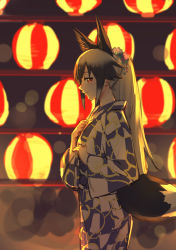 Rule 34 | 10s, 1girl, alternate costume, animal ears, backlighting, black hair, blurry, blush, bokeh, cowboy shot, depth of field, emoshon, flower, fox ears, fox tail, from side, gradient hair, hair flower, hair ornament, hand on own hip, hand on own chest, highres, japanese clothes, kemono friends, kimono, lantern, long hair, long sleeves, looking at viewer, looking to the side, multicolored hair, ponytail, print kimono, red eyes, sidelocks, sideways glance, silver fox (kemono friends), silver hair, sketch, solo, standing, tail, wide sleeves, yukata