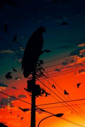 Rule 34 | 1other, bird, cloud, crow, feathered wings, full body, gradient background, highres, lamppost, leg up, li sakura, no humans, original, power lines, silhouette, solo, sunset, talons, utility pole, wings