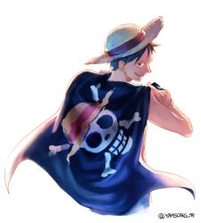 Rule 34 | 1boy, flag, hat, holding, holding flag, jolly roger, male focus, monkey d. luffy, one piece, over shoulder, pirate, skull and crossbones, solo, straw hat, yamsong