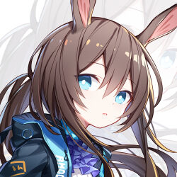 Rule 34 | 1girl, amiya (arknights), animal ears, arknights, black jacket, blue eyes, blue neckerchief, brown hair, chibi, chibi only, chinese commentary, commentary request, hair between eyes, hood, hooded jacket, jacket, jewelry, long hair, looking at viewer, neck ring, neckerchief, open clothes, open jacket, open mouth, pixiv username, ponytail, quan (kurisu tina), rabbit ears, ribbed sweater, solo, sweater, upper body, white background, white sweater, zoom layer