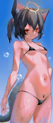 Rule 34 | &gt;:), 1girl, absurdres, animal ears, artist request, bare arms, bare shoulders, bikini, black bikini, black hair, black nails, blue sky, breasts, breasts apart, cat ears, cat girl, cat tail, chinese commentary, closed mouth, collarbone, commentary request, cowboy shot, day, halo, highres, micro bikini, nail polish, navel, one side up, original, outdoors, pubic tattoo, red eyes, short hair, signature, sky, small breasts, smile, solo, stomach, swimsuit, tail, tattoo, underboob, v-shaped eyebrows, wet