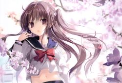 Rule 34 | 1girl, absurdres, blurry, blurry background, blush, branch, brown eyes, brown hair, cherry blossoms, day, flower, highres, huge filesize, karory, long hair, long sleeves, looking at viewer, navel, open mouth, original, outdoors, sailor collar, scan, school uniform, serafuku, solo, stomach, upper body