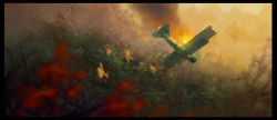Rule 34 | aircraft, airplane, crash, fire, highres, nature, no humans, original, scenery, v11, vehicle focus