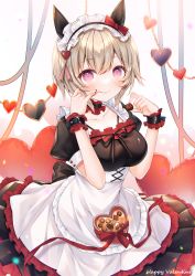 Rule 34 | 1girl, animal ears, apron, black dress, blush, box, breasts, chocolate, closed mouth, collarbone, curren chan (umamusume), dress, hair between eyes, happy valentine, haruhitooo, heart-shaped box, highres, horse ears, horse girl, large breasts, looking at viewer, puffy short sleeves, puffy sleeves, purple eyes, short hair, short sleeves, silver hair, smile, solo, tongue, tongue out, umamusume, valentine, white apron