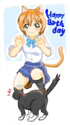 Rule 34 | 1girl, animal, animal ears, aqua bow, artist name, artist request, bare legs, black legwear, blue bow, blue skirt, blush, bow, bowtie, breasts, brown footwear, cat, cat smile, cat tail, checkered clothes, checkered skirt, collared shirt, female focus, full body, green eyes, hair between eyes, highres, hoshizora rin, jacket, long sleeves, looking at viewer, love live!, love live! school idol project, miniskirt, nail, nail polish, orange hair, otonokizaka school uniform, parted lips, paw pose, pink nails, plaid, plaid skirt, pleated, pleated skirt, school uniform, shirt, shoes, short hair, short sleeves, skirt, small breasts, smile, solo, squatting, striped, striped bow, surprised, sweatdrop, tail, v-shaped eyebrows, white shirt, yellow eyes