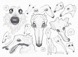 Rule 34 | borzoi, bouncytuna, closed mouth, dog, emoji, full body, greyscale, heart, highres, looking at viewer, meme, monochrome, mouth hold, no shoes, open mouth, original, pleading face emoji, sharp teeth, simple background, socks, speech bubble, spoken heart, stick, teeth, twitter username, white background