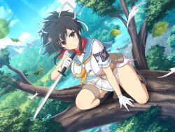 Rule 34 | 1girl, ascot, asuka (senran kagura), belt, belt pouch, black hair, blue sailor collar, blush, branch, breasts, brown belt, brown eyes, bush, buttons, cloud, day, double-breasted, falling leaves, forest, frown, gloves, grass, hair ribbon, hanzou academy uniform, in tree, large breasts, leaf, light particles, loafers, looking at viewer, midriff, miniskirt, mountain, mountainous horizon, nature, official art, orange ascot, outdoors, pleated skirt, ponytail, pouch, red scarf, reverse grip, ribbon, river, riverbank, rock, sailor collar, scarf, school emblem, school uniform, senran kagura, senran kagura new link, senran kagura shoujo-tachi no shin&#039;ei, shiny skin, shirt, shoes, short hair, short ponytail, short sword, shuriken, sidelocks, skirt, sky, solo, sparkle, squatting, sword, thigh strap, torn ascot, torn clothes, torn shirt, torn sleeves, torn socks, tree, tsuba (guard), tsuka-ito, tsuka (handle), unsheathed, v-shaped eyebrows, wakizashi, water, weapon, white gloves, white ribbon, yaegashi nan