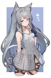 Rule 34 | 1girl, animal ears, arknights, blue background, blue gloves, breasts, cat ears, cat girl, cat tail, cleavage, cowboy shot, cropped legs, dress, fingerless gloves, gloves, green eyes, grey hair, groin, hand on own chest, hand up, highres, idashige (walkietalkie), infection monitor (arknights), long hair, looking at viewer, rosmontis (arknights), see-through, see-through dress, simple background, small breasts, solo, tail, thigh strap, thighs, very long hair, white dress