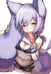 Rule 34 | 1girl, absurdres, animal ears, arknights, bikini, black bikini, blue gloves, body fur, breasts, cleavage, commentary, cowboy shot, cropped legs, from above, furrification, furry, furry female, gloves, hair between eyes, highres, hip vent, holding tail, large tail, long hair, looking at viewer, medium breasts, navel, official alternate costume, provence (arknights), provence (casual vacation) (arknights), purple hair, short shorts, shorts, simple background, solo, stomach, swimsuit, tab head, tail, white background, wolf ears, wolf girl, wolf tail, yellow eyes
