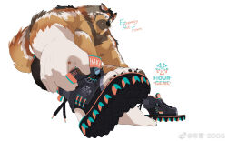 Rule 34 | 1boy, adjusting footwear, animal ear fluff, animal ears, bara, black fur, boogbogex, brown eyes, brown fur, character name, chest hair, dog boy, dog ears, english text, foreshortening, full body, furry, furry male, haki (boogbogex), highres, large pectorals, looking at viewer, male focus, muscular, muscular male, nipples, orange fur, original, pectorals, shoes, short hair, shorts, sneakers, solo, thick eyebrows, topless male, whiskers, white fur