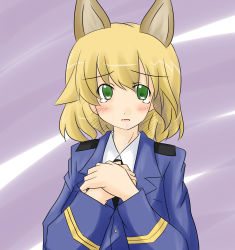 Rule 34 | 00s, 1girl, amelie planchard, animal ears, blonde hair, green eyes, rabbit ears, rabbit girl, solo, strike witches, uniform, world witches series