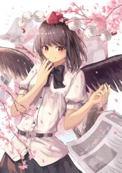 Rule 34 | 1girl, arms up, bad id, bad pixiv id, belt, bird wings, black bow, black bowtie, black hair, black skirt, black wings, bow, bowtie, branch, cherry blossoms, feathered wings, grin, hand on own chin, hat, leaning to the side, looking at viewer, newspaper, ookashippo, petals, pom pom (clothes), puffy short sleeves, puffy sleeves, red eyes, red hat, shameimaru aya, shirt, short sleeves, skirt, smile, solo, standing, tokin hat, touhou, untucked shirt, upper body, white background, white shirt, wings