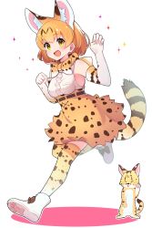Rule 34 | 1girl, animal ears, bad id, bad twitter id, bare shoulders, blonde hair, boots, bow, bowtie, center frills, elbow gloves, extra ears, footwear bow, frills, full body, gloves, high-waist skirt, highres, kemono friends, name connection, paw print, paw print shoes, print bow, print bowtie, print gloves, print neckwear, print skirt, print thighhighs, serval, serval (kemono friends), serval print, serval tail, shirt, shoes, short hair, skirt, sleeveless, solo, tail, takom, thighhighs, traditional bowtie, white shirt, yellow eyes, zettai ryouiki