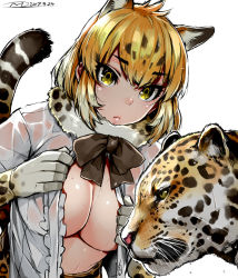 Rule 34 | 10s, 1girl, animal, animal ears, blonde hair, bow, bowtie, breasts, brown bow, brown bowtie, cleavage, commentary request, elbow gloves, extra ears, fur collar, gloves, happa (cloverppd), jaguar, jaguar (kemono friends), jaguar ears, jaguar print, jaguar tail, kemono friends, large breasts, multicolored hair, open clothes, open shirt, print gloves, see-through, shirt, short hair, short sleeves, sweat, tail, wet, wet clothes, yellow eyes