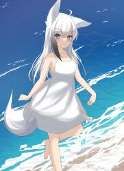 Rule 34 | 1girl, absurdres, ahoge, animal ear fluff, animal ears, bare arms, bare shoulders, barefoot, blush, breasts, closed mouth, collarbone, commentary request, day, dress, fox ears, fox girl, fox tail, grey eyes, grey hair, highres, kuronagi (mitora uwu), looking at viewer, ocean, original, outdoors, sleeveless, sleeveless dress, small breasts, smile, solo, standing, standing on one leg, tail, water, white dress, white hair
