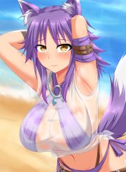 Rule 34 | 1girl, 3:, absurdres, animal ear fluff, animal ears, arm belt, arm strap, armpits, arms behind head, beach, bikini, blouse, blush, breasts, cleavage, commentary request, cowboy shot, groin, highres, large breasts, leg belt, long hair, looking at viewer, makoto (princess connect!), makoto (summer) (princess connect!), midriff, murasame (tmurasamek), navel, ocean, princess connect!, purple bikini, purple hair, sand, see-through, shirt, short sleeves, side-tie bikini bottom, sidelocks, skindentation, solo, standing, swimsuit, t-shirt, tail, thigh strap, tied shirt, wet, wet clothes, wet shirt, white shirt, wolf ears, wolf girl, wolf tail, yellow eyes