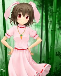 Rule 34 | 1girl, akakabu (obsidian910), animal ears, bamboo, bamboo forest, blurry, breasts, brown hair, carrot necklace, daisy, depth of field, dress, flower, forest, hands on own hips, highres, inaba tewi, looking at viewer, nature, necklace, outdoors, pink dress, puffy short sleeves, puffy sleeves, rabbit ears, red eyes, short hair, short sleeves, small breasts, smile, solo, suigetsu (watermoon-910), touhou