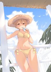 Rule 34 | 1girl, annin miru, annin miru channel, bare arms, bare shoulders, bikini, bird, blue sky, breasts, brown eyes, brown hair, cleavage, cloud, cloudy sky, collarbone, commentary, day, food, front-tie bikini top, front-tie top, groin, hat, highres, holding, holding food, looking at viewer, maka neko, medium breasts, navel, outdoors, parted lips, popsicle, short hair, side-tie bikini bottom, sky, solo, standing, stomach, straw hat, swimsuit, thighs, virtual youtuber, yellow bikini
