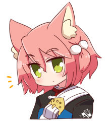 Rule 34 | 1girl, 7th dragon, 7th dragon (series), animal ear fluff, animal ears, belt, belt buckle, blue jacket, blush, buckle, cat ears, closed mouth, cropped torso, fighter (7th dragon), green eyes, hair between eyes, hair bobbles, hair ornament, harukara (7th dragon), jacket, looking at viewer, naga u, notice lines, one side up, pink hair, simple background, solo, upper body, white background, white belt