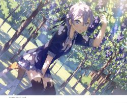 Rule 34 | 1girl, 2017, absurdres, between legs, black ribbon, black thighhighs, braid, day, dress, dutch angle, food, grey eyes, hair between eyes, hair ribbon, hand between legs, highres, holding, holding food, kantoku, looking at viewer, open mouth, original, outdoors, purple dress, ribbon, short dress, short hair with long locks, silver hair, sitting, solo, thighhighs, tree, twin braids