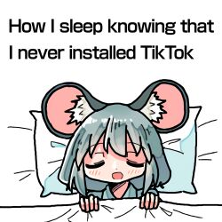 Rule 34 | 1girl, animal ears, blanket, blush, closed eyes, covering with blanket, dot nose, english text, grey hair, happy, holding, holding blanket, kasuya baian, medium hair, meme, mouse ears, mouse girl, nap, nazrin, open mouth, pajamas, pillow, simple background, sleeping, smile, solo, touhou, white background