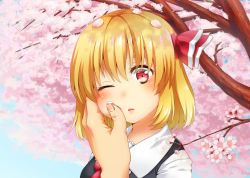 Rule 34 | 1girl, blonde hair, cherry blossoms, female focus, hand on another&#039;s cheek, hand on another&#039;s face, one eye closed, petals, red eyes, rumia, shirane koitsu, touhou