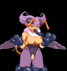 Rule 34 | animated, animated gif, antenna hair, black background, black eyes, breasts, happy sex, insect wings, kuromaru (mugen), lowres, m.u.g.e.n, oral, pixel art, purple hair, pussy, q-bee, vampire (game), wings