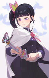 Rule 34 | 1girl, belt, black hair, blunt bangs, bug, butterfly, butterfly hair ornament, cape, closed mouth, demon slayer uniform, dnaitari, hair ornament, highres, holding, holding sword, holding weapon, insect, japanese clothes, katana, kimetsu no yaiba, pleated skirt, ponytail, purple eyes, side ponytail, skirt, smile, solo, sword, tsuyuri kanao, weapon, white belt, white cape