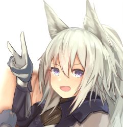 Rule 34 | 1girl, :d, animal ears, aoinu (aoinu 99), arknights, arm up, blue eyes, blue jacket, commentary request, gloves, grani (arknights), highres, horse ears, jacket, light blush, long hair, looking at viewer, open mouth, partial commentary, ponytail, portrait, smile, solo, v, white background, white hair