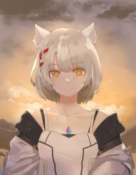 Rule 34 | 1girl, animal ears, camisole, cat ears, cat girl, chest jewel, grey hair, jacket, mio (xenoblade), smile, solo, sou (pale 1080), tank top, white camisole, white jacket, white tank top, yellow eyes