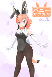 Rule 34 | 1girl, animal ears, black hair, black leotard, black pantyhose, blue eyes, blush, bow, bowtie, breasts, caracal (kemono friends), caracal ears, collared shirt, elbow gloves, fake animal ears, gloves, headset, highres, kemono friends, kemono friends v project, large breasts, leotard, looking at viewer, multicolored hair, nokemono-san (bocchi friend), open mouth, orange bow, orange bowtie, orange hair, pantyhose, playboy bunny, rabbit ears, shirt, short hair, sleeveless, sleeveless shirt, smile, solo, tail, teeth, translated, upper teeth only, virtual youtuber, white bow, white gloves, white shirt