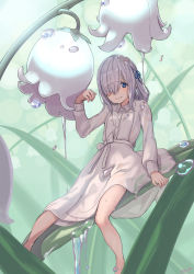 Rule 34 | 1girl, blue eyes, blue ribbon, bow, buttons, collared dress, crying, crying with eyes open, dress, eyes visible through hair, flower, furrowed brow, green background, grey hair, hair over one eye, hair ribbon, highres, isuzu ren, leaf, lily of the valley, long bangs, long dress, long sleeves, looking at viewer, magia record: mahou shoujo madoka magica gaiden, mahou shoujo madoka magica, medium hair, mini person, minigirl, nanakamado, nervous smile, on flower, one eye covered, plant, ribbon, sidelocks, signature, sitting, sleeve cuffs, smile, solo, suggestive fluid, swept bangs, tears, tress ribbon, waist bow, water drop, white dress, white flower