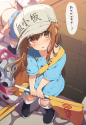 Rule 34 | 10s, 2girls, bag, black footwear, blue shirt, blush, boots, brown eyes, brown hair, commentary request, eyebrows visible through hat, flag, flat cap, hat, hataraku saibou, holding, holding flag, long hair, looking at viewer, multiple girls, ogipote, platelet (hataraku saibou), shirt, short sleeves, sitting, solo focus, speech bubble, translation request, white hat