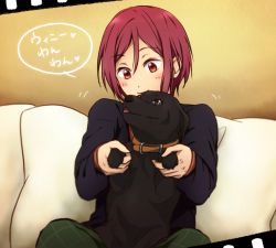 Rule 34 | 10s, 1boy, :p, aged down, animal, animal on lap, blush, child, collar, couch, dog, free!, hamu (riyahb), happy, heart, indoors, light smile, long sleeves, looking at another, male focus, matsuoka rin, motion lines, on lap, pants, pillow, purple eyes, red eyes, red hair, short hair, sitting, smile, speech bubble, spoken heart, sweater, tongue, tongue out, translated, winnie (free!)