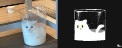 Rule 34 | animal focus, animated, animated gif, cat, commentary, cup, english commentary, flipnote studio (medium), in container, in cup, keke (kokorokeke), looping animation, no humans, original, photo inset, reference inset
