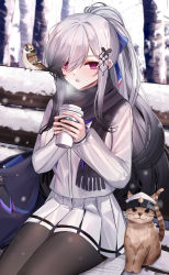 Rule 34 | 1girl, azur lane, bench, bird, black pantyhose, blush, breasts, breathing, butterfly hair ornament, cat, cold, cup, dunkerque (azur lane), ears through headwear, eternity (pixiv8012826), grey hair, hair ornament, hair over one eye, hair ribbon, hat, highres, holding, holding cup, jacket, large breasts, long hair, looking at viewer, outdoors, pantyhose, peaked cap, pink eyes, ponytail, ribbon, scarf, sidelocks, sitting, skirt, snowing, solo, tree