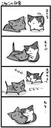 Rule 34 | &gt; &lt;, 4koma, animal focus, calico, cat, closed eyes, comic, full body, greyscale, mitsuki hina, monochrome, no humans, playing, simple background, sleeping, tabby cat, translated, truth, waking up, white background