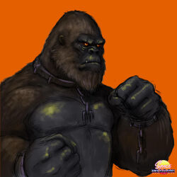 Rule 34 | ape, artist name, beard, broken, broken chain, chain, close-up, crossover, cuffs, cuffs-to-collar, facial hair, fangs, godzilla (series), godzilla vs. kong, gorilla, highres, kaijuu, king kong, king kong (series), legendary pictures, monster, monsterverse, muscular, muscular other, no humans, orange background, orange eyes, restraints, scar, scar across eye, scar on face, scar on mouth, simple background, spacedragon14, toho, wrist cuffs