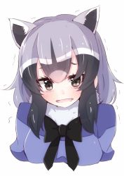 Rule 34 | 10s, 1girl, animal ears, black eyes, black hair, black ribbon, blue shirt, blush, collar, common raccoon (kemono friends), cropped torso, crying, d:, dot nose, enelis, eyebrow twitching, eyebrows, eyelashes, fangs, fur collar, gradient hair, grey hair, jitome, kemono friends, looking at viewer, multicolored hair, neck ribbon, open mouth, puffy short sleeves, puffy sleeves, raccoon ears, ribbon, sad, sanpaku, shiny clothes, shiny skin, shirt, short hair, short sleeves, sidelocks, simple background, solo, sweat, tears, thick eyebrows, trembling, upper body, wavy mouth, white background, white hair